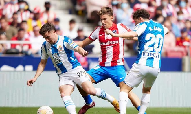 罗德里戈 罗德里戈